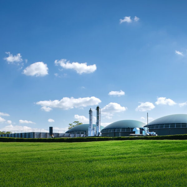 Crofthead biogas anaerobic digestion facility - powering King's Cross with green energy