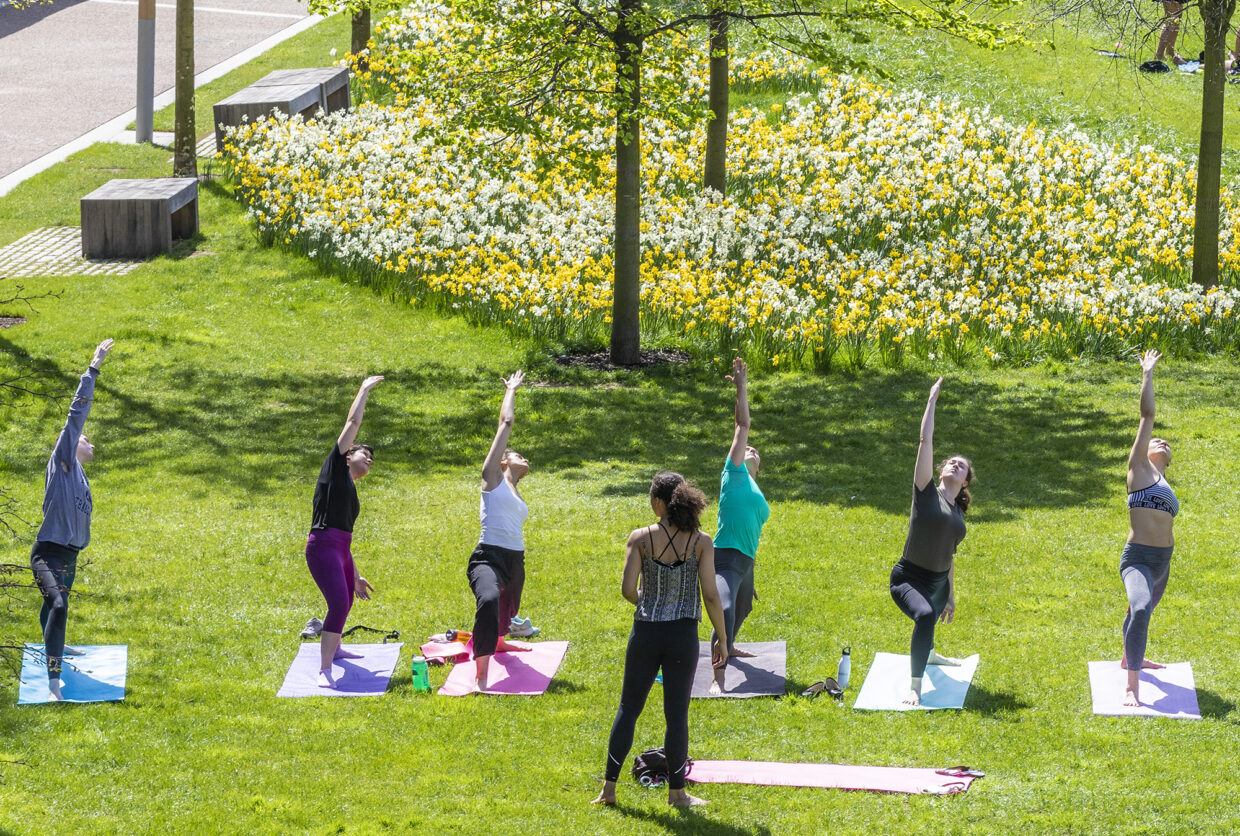 Yoga in sping sunshine in Lewis Cubitt Park, King's Cross
