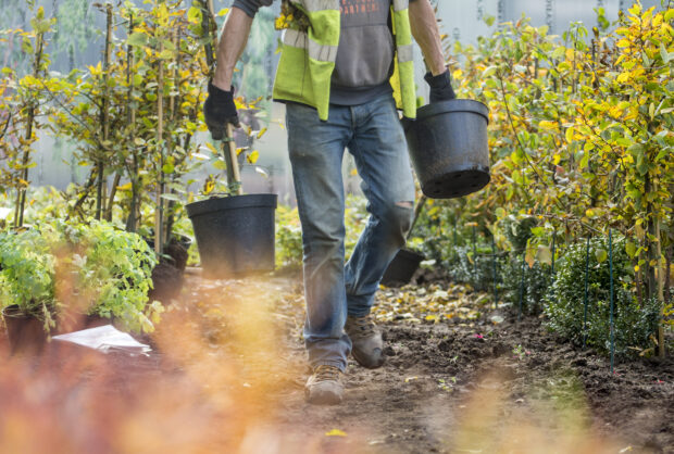 Gardener planting Handyside Gardens, King's Cross