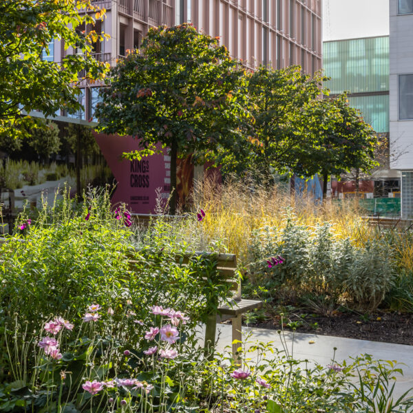 Planting at Jellico Gardens, King's Cross