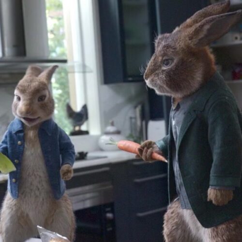 Peter Rabbit 2, Everyman Screen on the Canal Film Festival, King's Cross