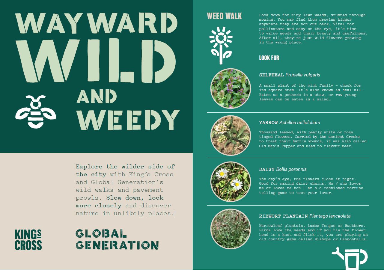 Wayward wild and weedy - wellbeing walk